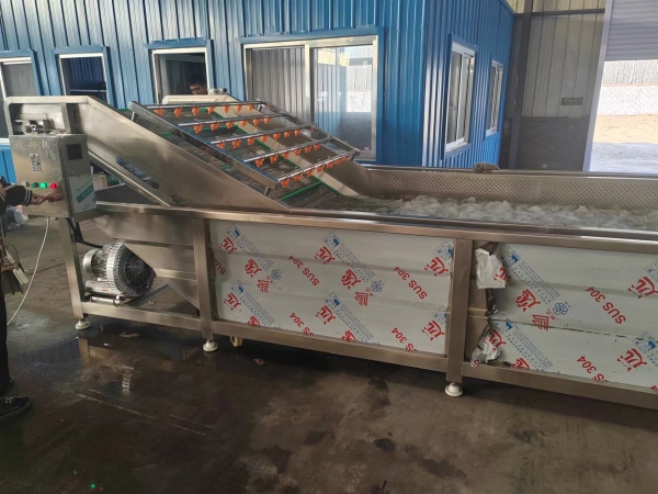 果蔬清洗流水線(xiàn)